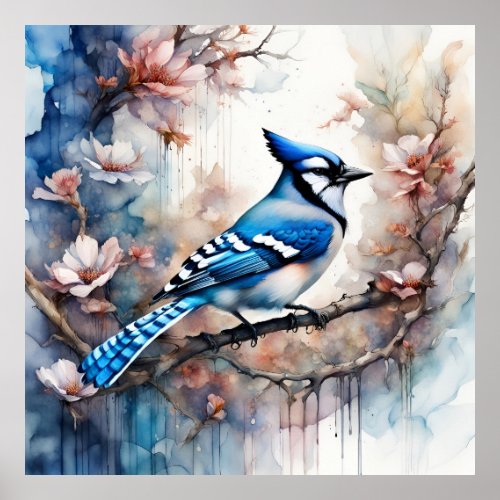 Blue Jay Cherry Blossoms watercolor Poster