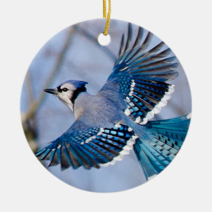 blue jay bird ornaments keepsake ornaments zazzle blue jay christmas ornaments