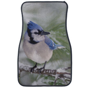 Blue Jay, Cyanocitta cristata Car Mat