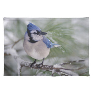 Blue Jay, Cyanocitta cristata Cloth Placemat