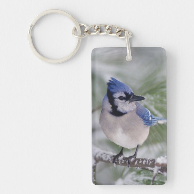 Blue Jay, Cyanocitta cristata Keychain (Front)