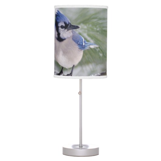 Blue Jay, Cyanocitta cristata Table Lamp (Front)