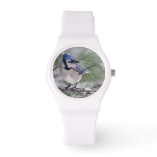 Blue Jay, Cyanocitta cristata Watch