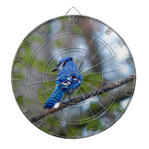 Blue Jay Dart Board