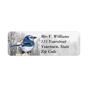 Blue Jay Drawing Return Address Label