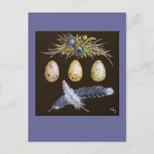 blue jay eggs with blueberries postcard