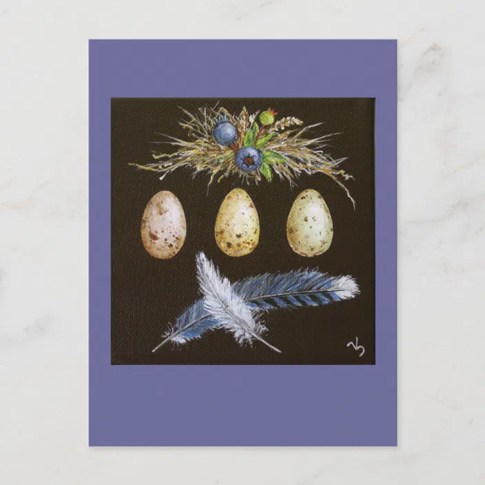 Blue Jay Eggs With Blueberries Postcard Zazzle Com