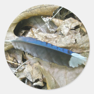 Blue Jay Feather Coordinating Items Classic Round Sticker