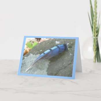 Blue Jay Feather Note Card by CarolsCamera at Zazzle
