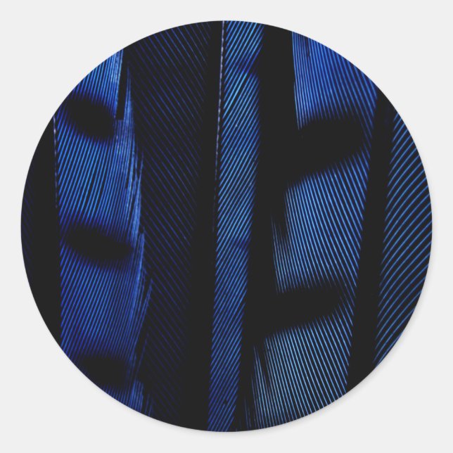 Blue jay feathers classic round sticker (Front)