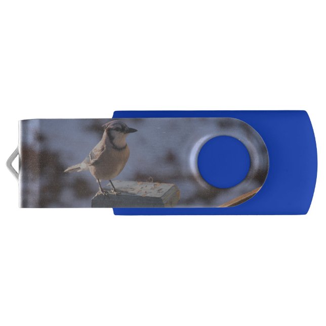 Blue Jay Flash Drive (Back)