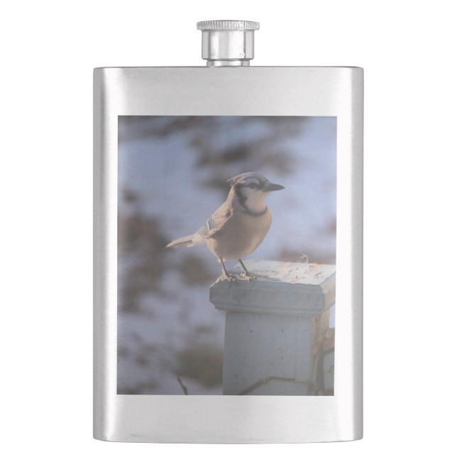 Blue Jay Flask (Front)