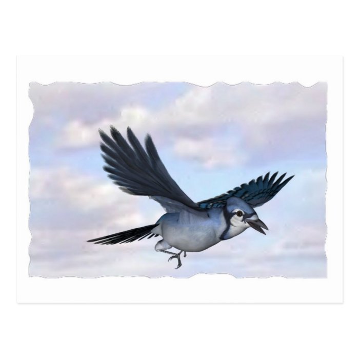 blue jay flying high post cards