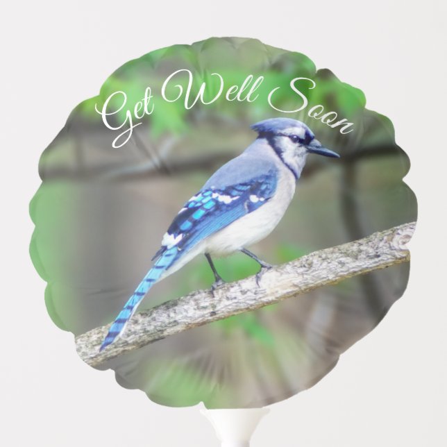 Blue Jay Get Well Soon Balloon (Front)