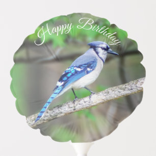 Blue Jay Happy Birthday Balloon