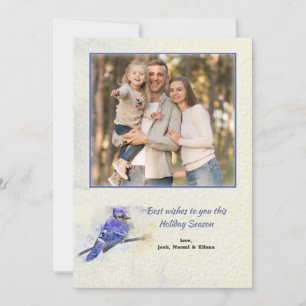 Blue Jay Holiday Photo Card