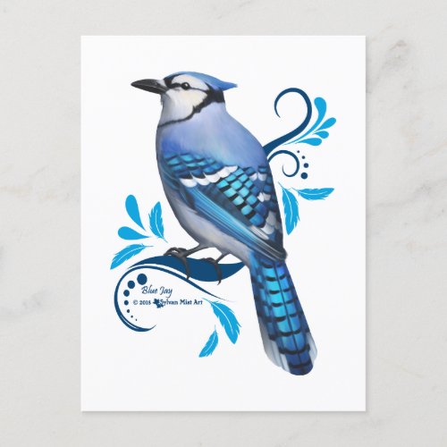 Blue Jay Holiday Postcard