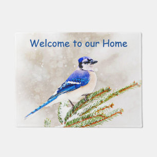 Blue jay in a pine tree with snow doormat