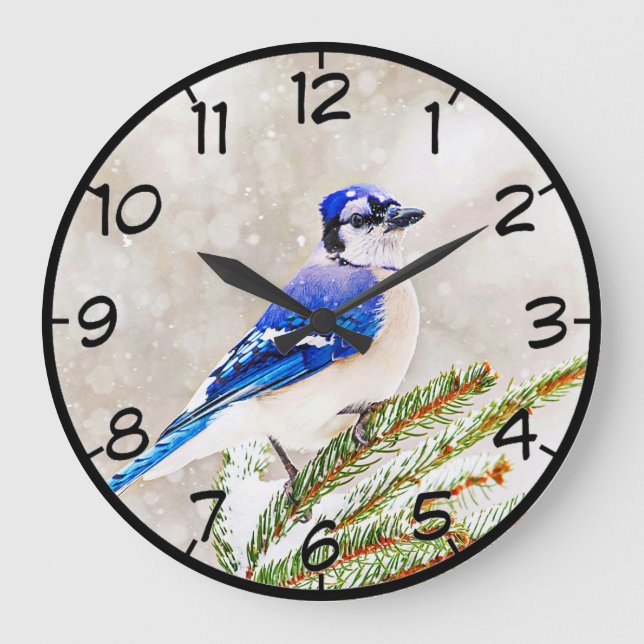 Blue jay in a pine tree with snow large clock (Front)
