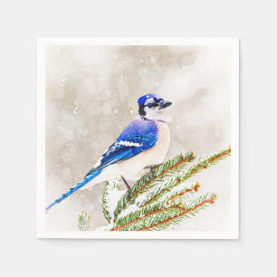 Blue jay in a pine tree with snow paper napkins