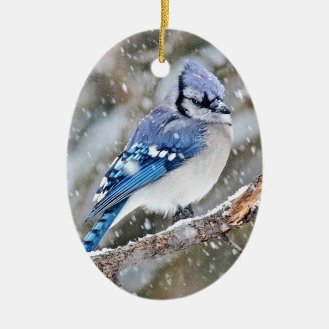Blue Jay in a Snowstorm Ceramic Ornament (Front)