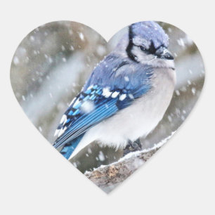 Blue Jay in a Snowstorm Heart Sticker