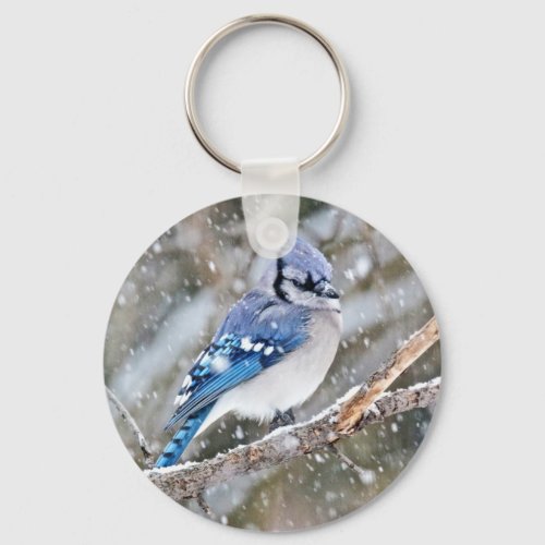Blue Jay in a Snowstorm Keychain