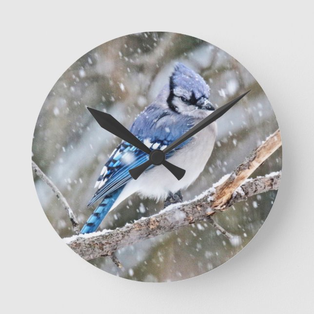 Blue Jay in a Snowstorm Round Clock (Front)