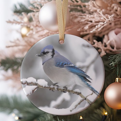 Blue Jay in Algonquin Park Ceramic Ornament