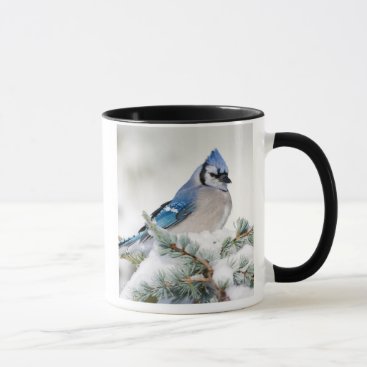 Blue Jay in Blue Atlas Cedar Mug