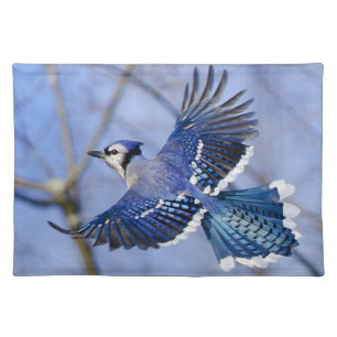 Blue Jay in Flight Placemat