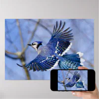 Cute Blue Jay Throws Me a Come Hither Look Poster for Sale by
