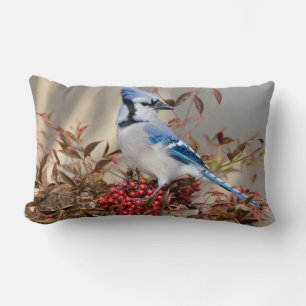 Blue Jay in Nandina Heavenly Bamboo Lumbar Pillow