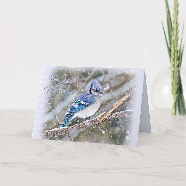 Blue Jay in Snow Christmas Holiday Card (Front)