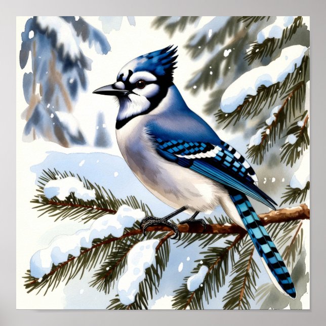 Blue Jay in Snowy Pines Watercolor Winter Bird Poster (Front)