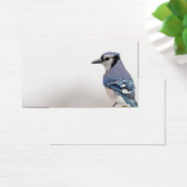 Blue Jay in Winter (Desk)