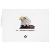 Blue Jay in Winter (Back Horizontal)