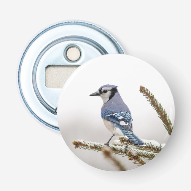 Blue Jay in Winter Bottle Opener (Front)