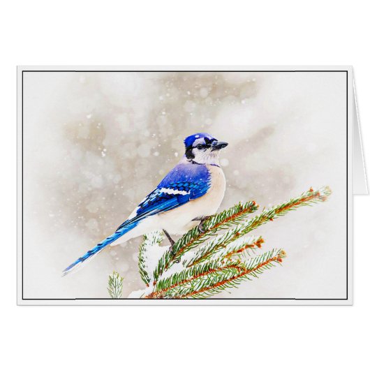 Blue Jay in Winter Cards (Front Horizontal)