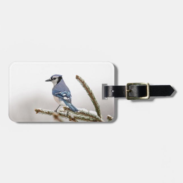 Blue Jay in Winter Luggage Tag (Front Horizontal)