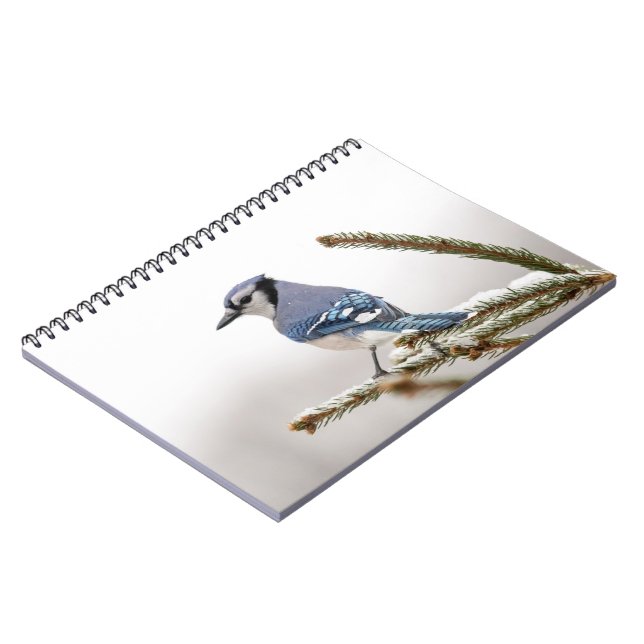 Blue Jay in Winter Notebook (Left Side)