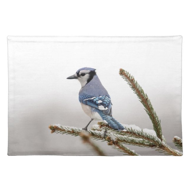 Blue Jay in Winter Placemat (Front)