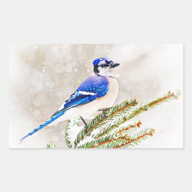 Blue Jay in Winter Rectangular Sticker (Front)