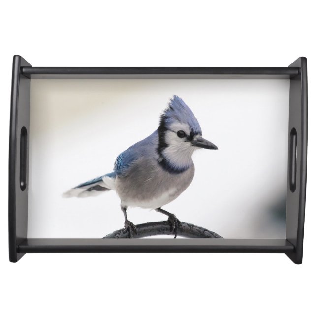 Blue Jay in Winter Serving Tray (Front)