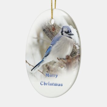 Blue Jay In Winter Snow Ceramic Ornament by CarolsCamera at Zazzle