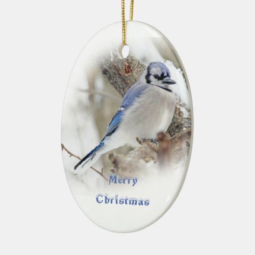 Blue Jay in Winter Snow Ceramic Ornament