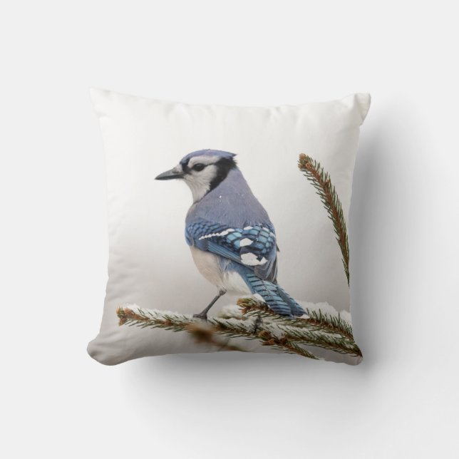Blue Jay in Winter Throw Pillow (Front)