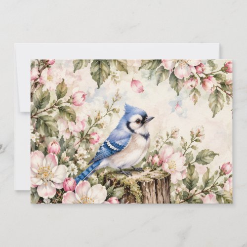 Blue jay invitation