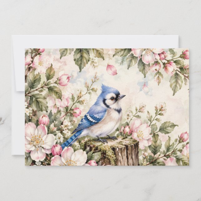 Blue jay invitation (Front)