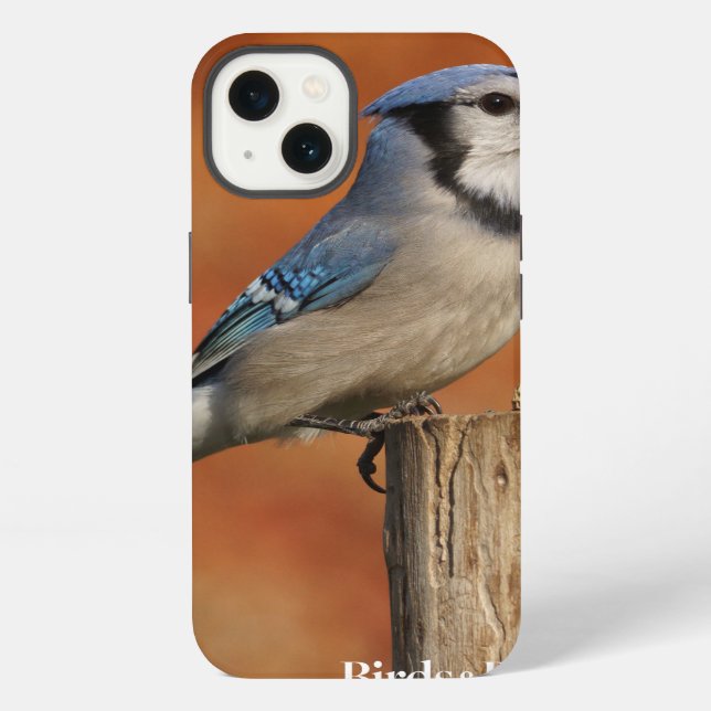 Blue Jay Iphone Case (Back)